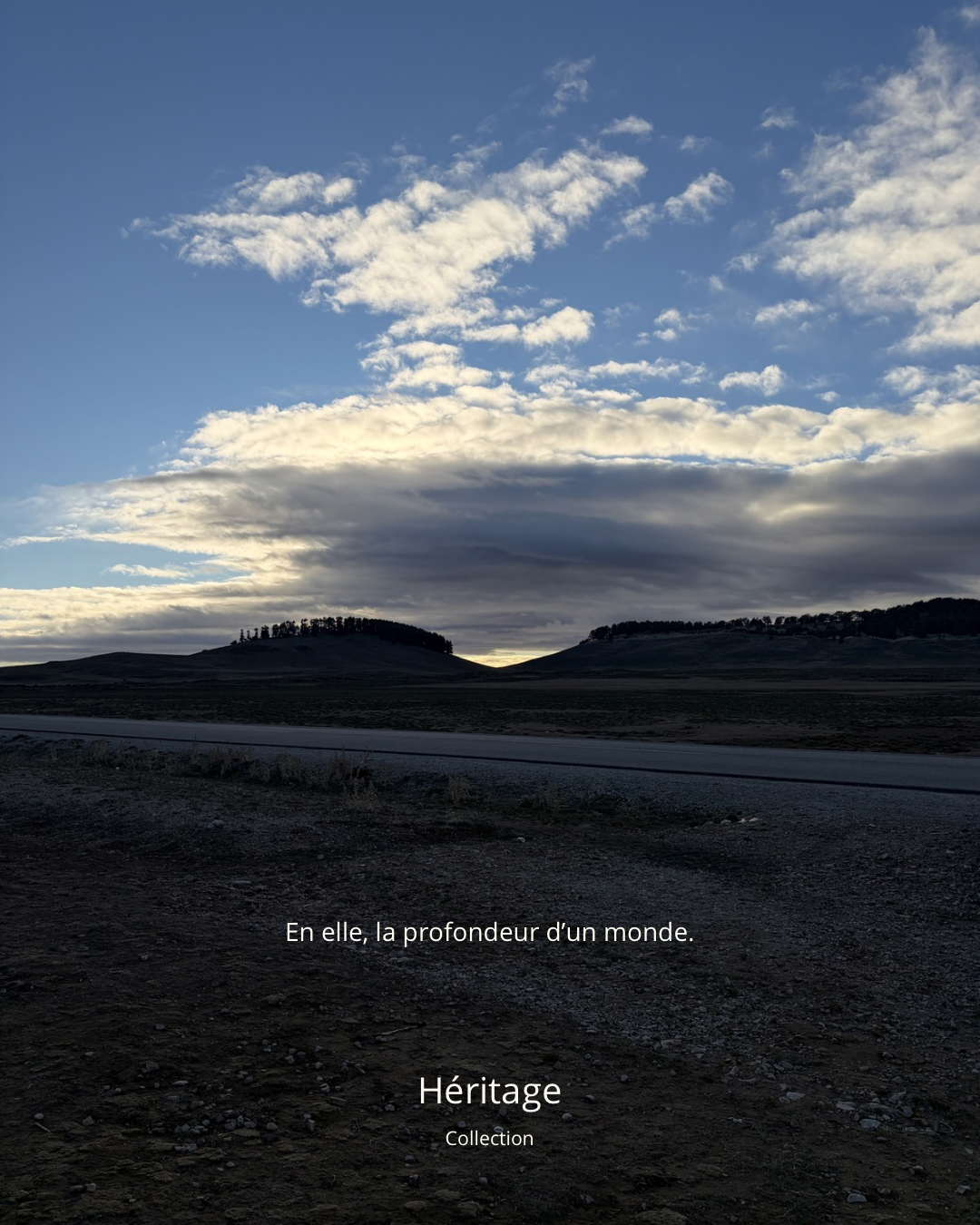 Image de l'article